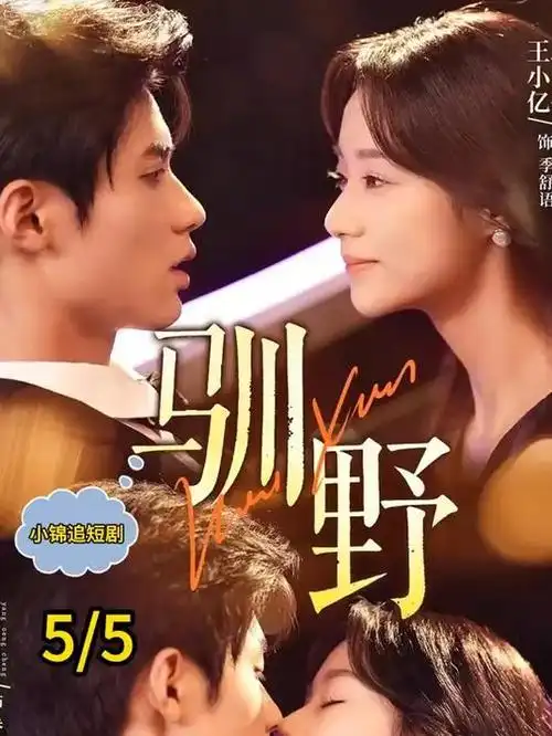 逆风翻盘 职场电视剧全集在线观看